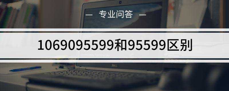 1069095599和95599区别