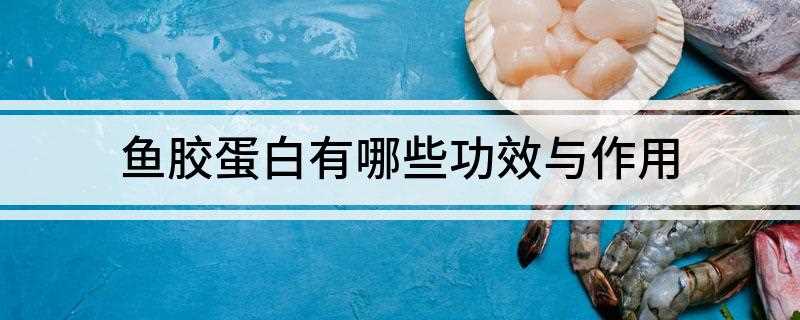 鱼胶蛋白有哪些功效与作用(鱼胶可以起到促进消化的作用)