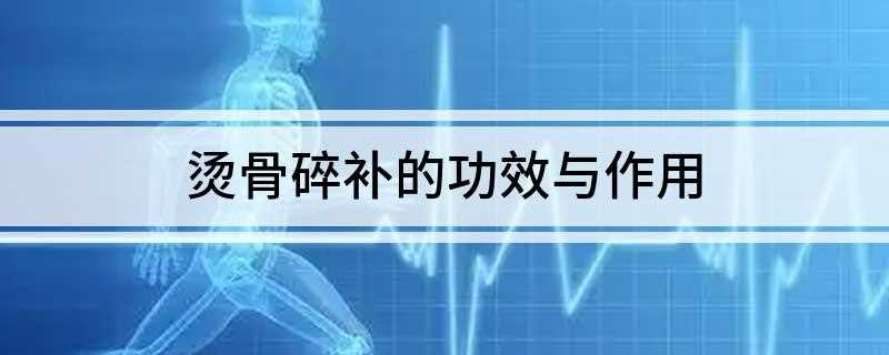 烫骨碎补的功效与作用(白癜风等病症具有治疗作用)