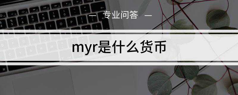 myr是什么货币(马来西亚令吉与美元固定汇率制度)