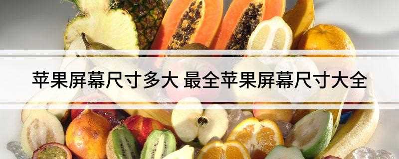 苹果屏幕尺寸多大(苹果X屏幕尺寸:5)