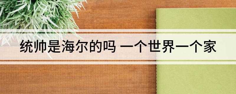 统帅是海尔的吗(统帅品牌家电提倡家电“实用主义”)