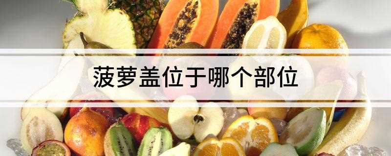菠萝盖位于哪个部位(隔着层夏布裤子,垫的菠萝盖子慌!)