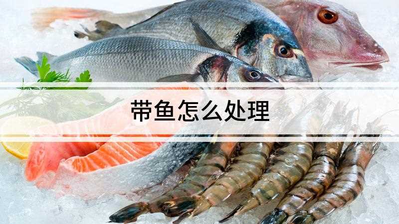 带鱼怎么处理