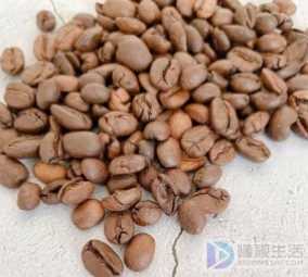 咖啡豆和可可豆的区别(咖啡豆和可可豆有什么区别)