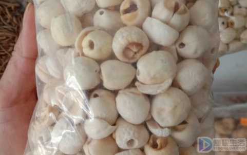 红莲子和白莲子的区别(红莲子与白莲子有什么区别)