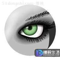 mtl是什么(mtl文件是什么)