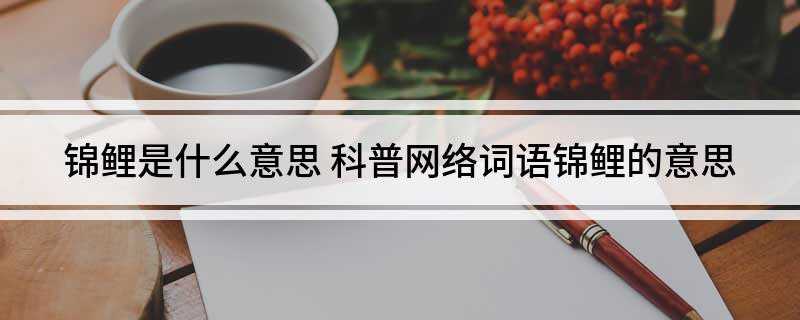 锦鲤是什么意思(中国锦鲤全球免单大礼包)