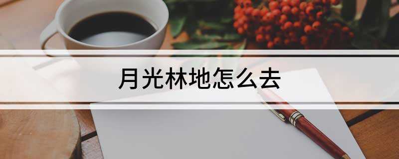 月光林地怎么去(到达卡利姆多大陆,所有要去月光林地)