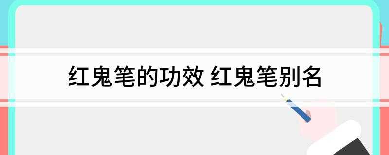 红鬼笔的功效(真菌子实体,菌盖近钟形,具网纹格)