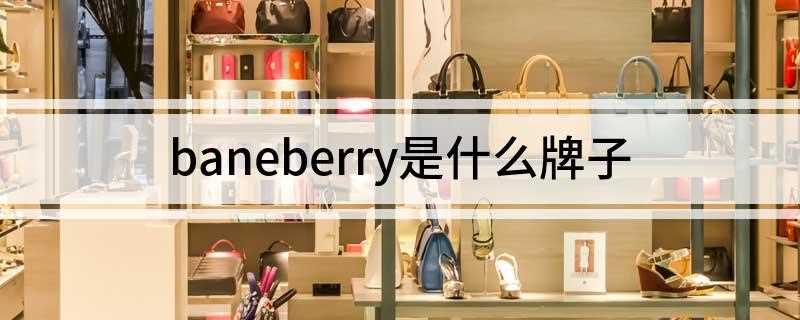 baneberry是什么牌子(baneberry是男装牌子吗)