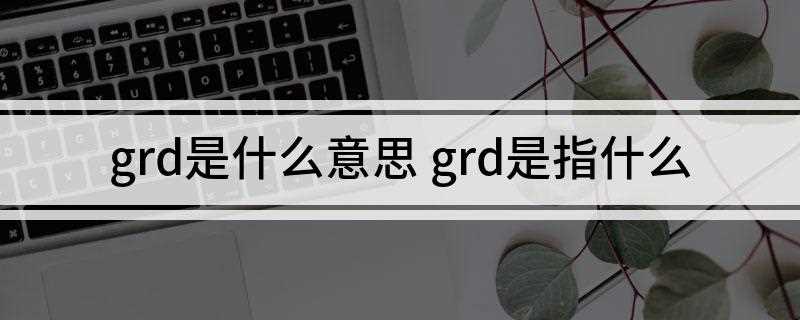 grd是什么意思(GRD=Geophysics Research Direct)