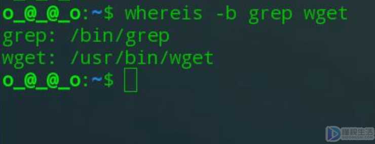 linux命令查看文件路径(linux如何查看命令所在路径)