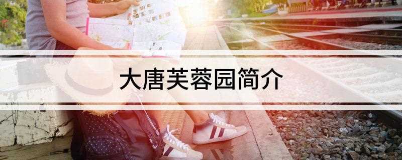 大唐芙蓉园简介(2019大唐芙蓉园旅游攻略)