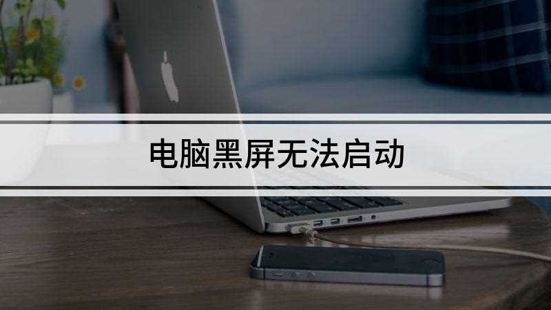 电脑黑屏无法启动