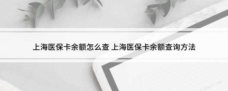 上海医保卡余额怎么查(各级人力资源社会保障部门应保障持卡人查询)