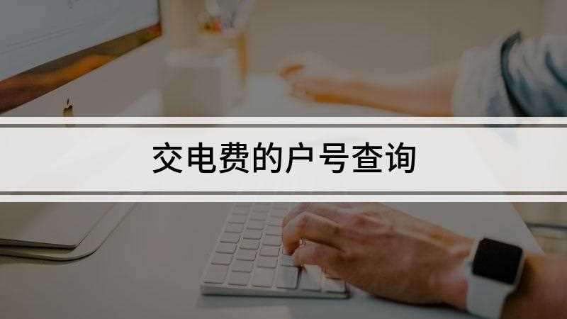 交电费的户号查询
