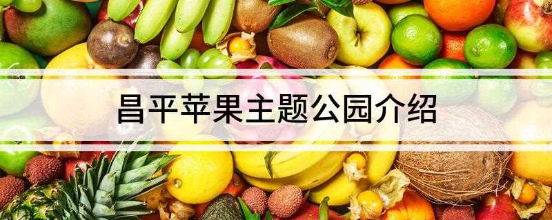昌平苹果主题公园介绍(北京苹果主题公园设计方案)