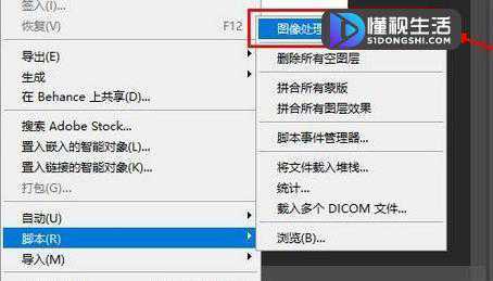 CR2格式文件怎么批量转换成JPG等格式(CR2格式文件批量转换成JPG等格式的方法)