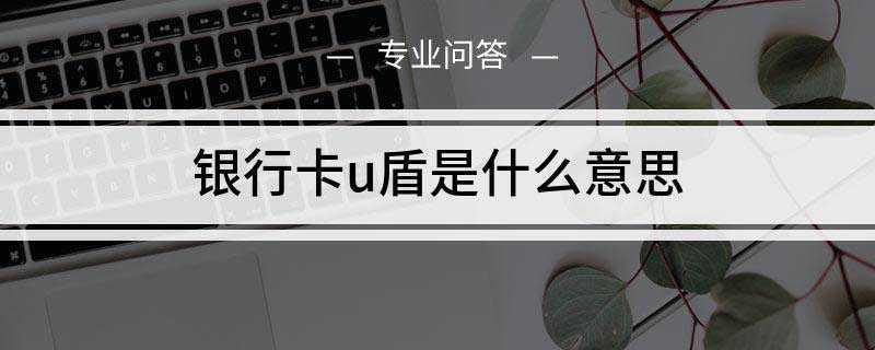 银行卡u盾是什么意思(网上银行U盾使用注意事项)