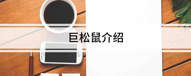 巨松鼠介绍(世界上最长的松鼠是什么)