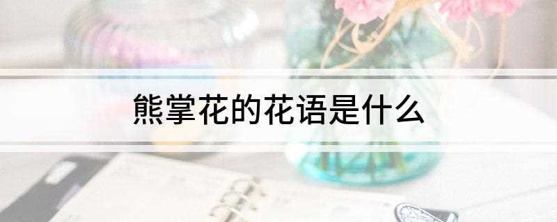 熊掌花的花语是什么(熊掌花的花语:繁荣)