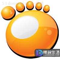 swf是什么(swf文件是什么)