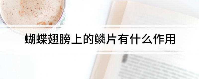 蝴蝶翅膀上的鳞片有什么作用