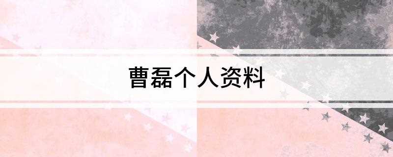 曹磊个人资料(抗日电视剧《绝地枪王2》)