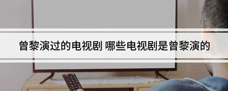 曾黎演过的电视剧(中央电视台影视部出品的一部现代都市情感时装励志剧)