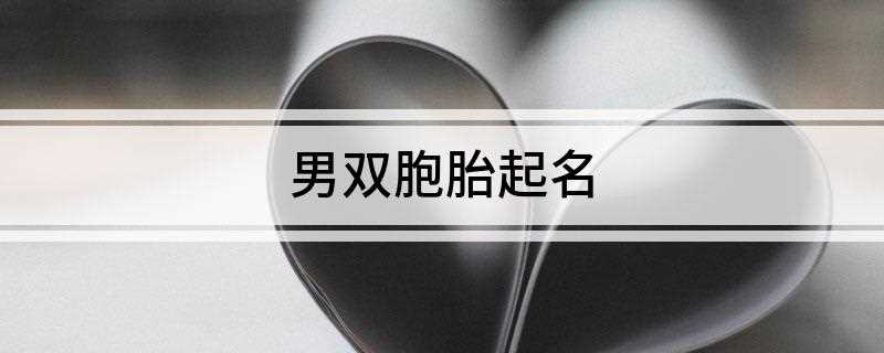 男双胞胎起名(充满诗意的双胞胎男宝宝)