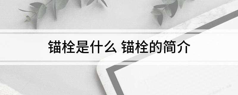 锚栓是什么 锚栓的简介(锚栓又称螺栓,是由头部和螺杆(带有外螺纹的圆柱体))