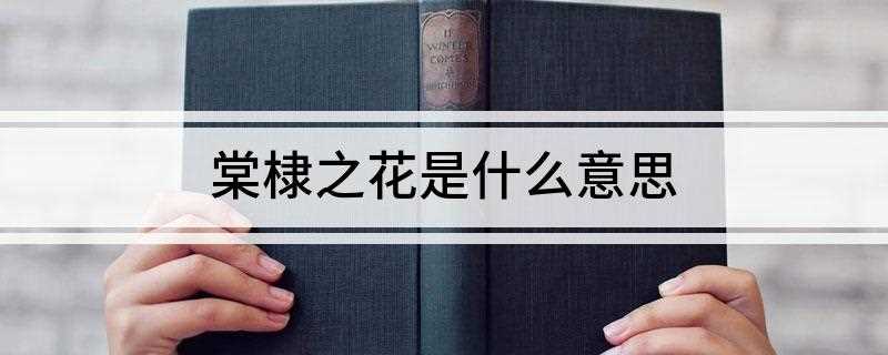 棠棣之花是什么意思(棠棣之花什么意思)