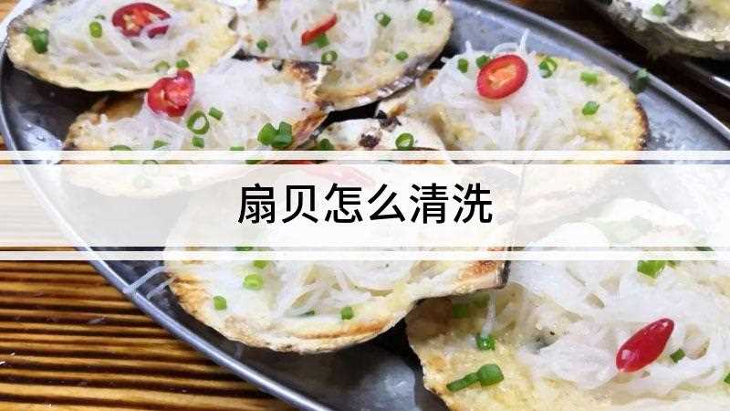 扇贝怎么清洗
