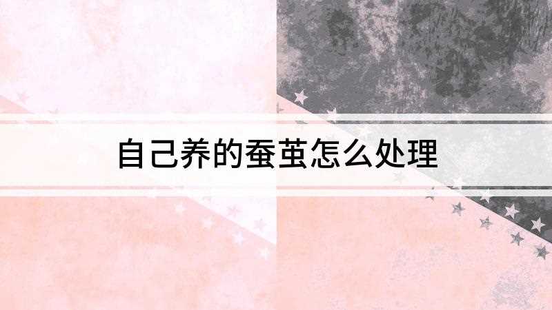 自己养的蚕茧怎么处理(自己养的蚕茧加工可以分为4步来操作)