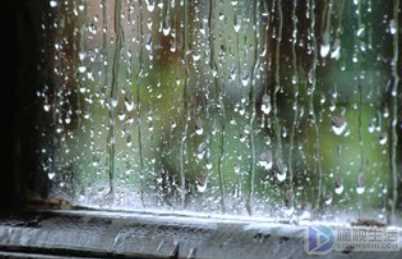 与雨有关的古诗句(关于雨的古诗句有哪些)