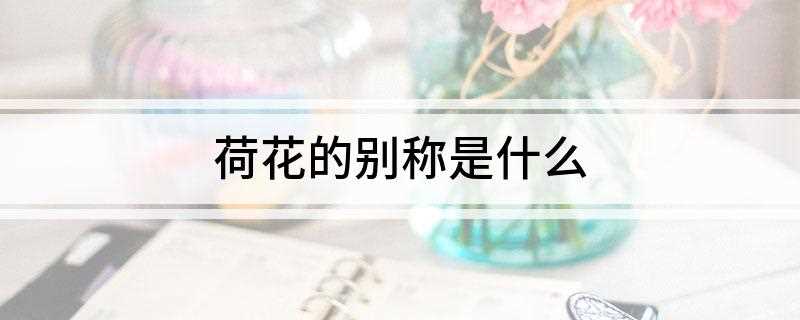 荷花的别称是什么(荷花的别称是:莲花、芙、芬陀利花、水芝、水芸、水目、泽芝、水)