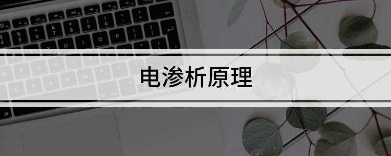 电渗析原理(离子交换膜的选择透过性)