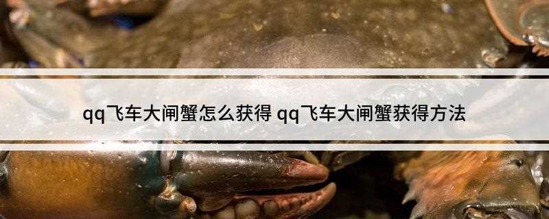 qq飞车大闸蟹怎么获得(DNF大闸蟹怎么获赠)