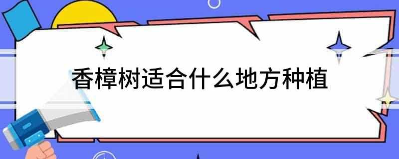 香樟树适合什么地方种植(香樟树产地以湖南为主,湖南有“香樟之乡”的称号)