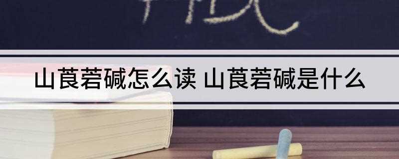山莨菪碱怎么读(外周抗胆碱的读法是什么)