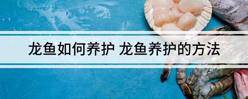 龙鱼如何养护(龙鱼的生存需要弱酸性到中性的水质,硬度要求软水)