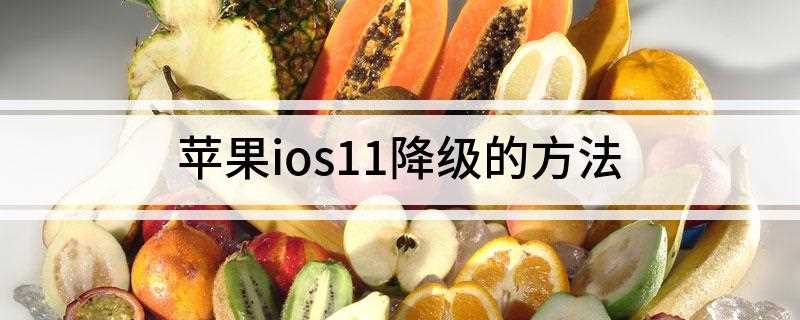 苹果ios11降级的方法(ios11降级到iOS10版本)