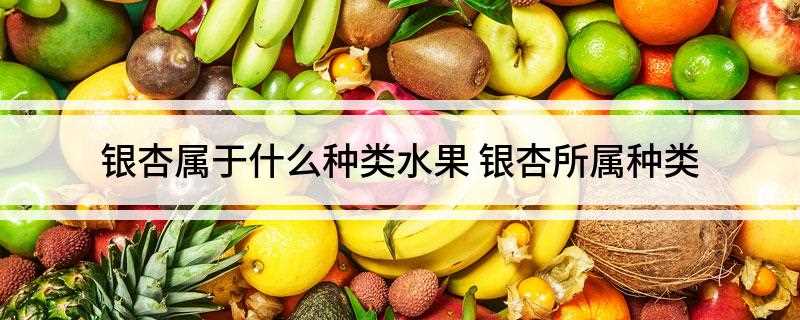 银杏属于什么种类水果(银杏虽好,但银杏内含有氢氰酸毒素,毒性很强,不能多吃,更加不)