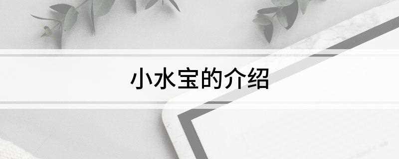 小水宝的介绍(厨房小水宝有哪些特点)