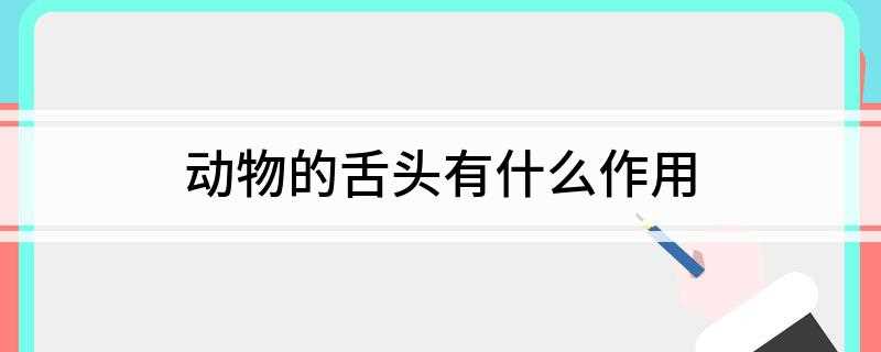 动物的舌头有什么作用(猫舌头上的小刺)