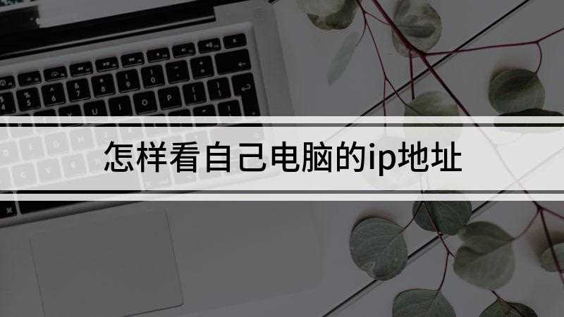 怎样看自己电脑的ip地址