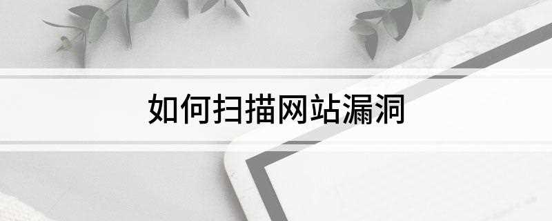 如何扫描网站漏洞(扫web的绝对路径有哪些)