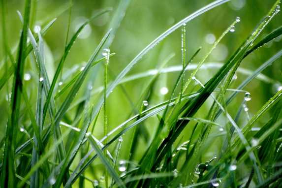 雨季三防是哪三防(雨季三防是哪三防 暴雨前的预防措施)