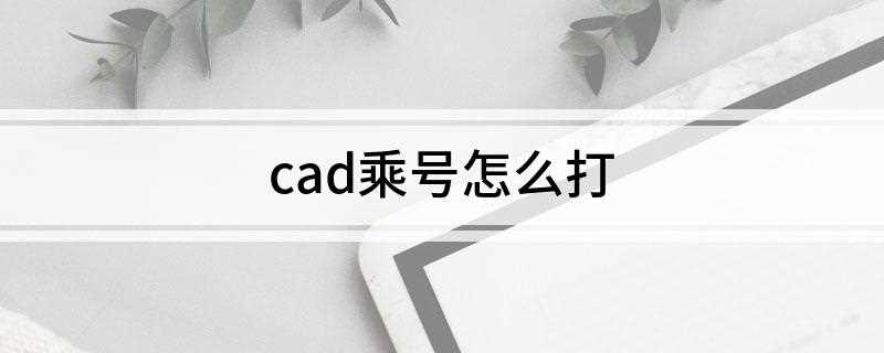 cad乘号怎么打(word特殊字符输入符号)